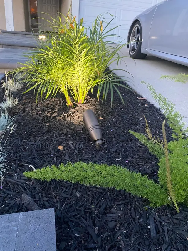 Mulch bed with landscape lighting in a Perris, CA yard