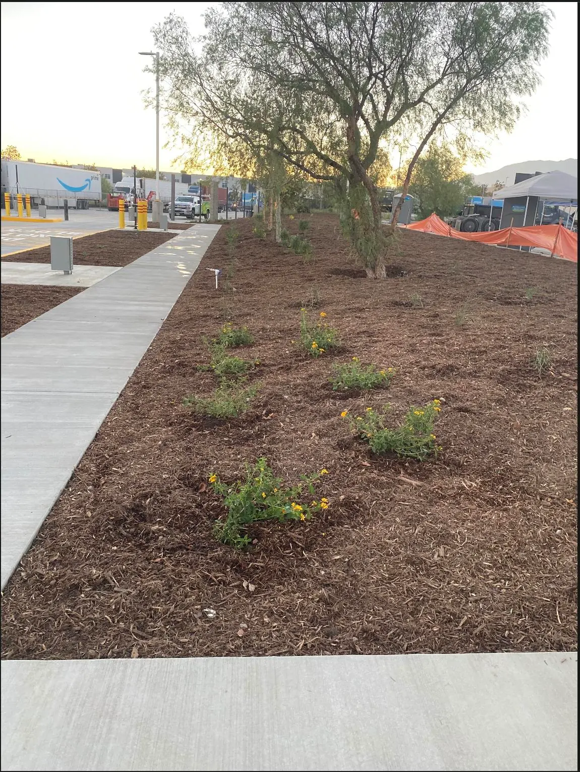 Mulch bed with new plantings installed at a commercial property in Perris, CA