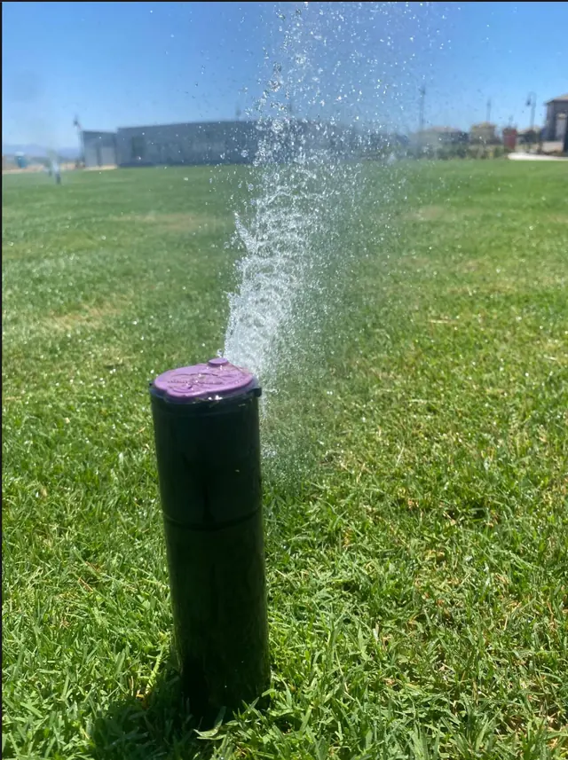 Sprinkler head running on a lawn in Perris, CA